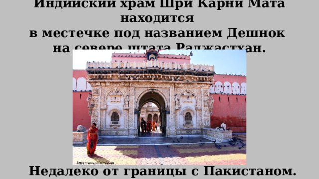 Индийский храм Шри Карни Мата находится  в местечке под названием Дешнок  на севере штата Раджастхан.   Недалеко от границы с Пакистаном. 