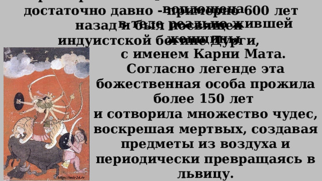 которая когда-то была воплощена в теле реально жившей женщины с именем Карни Мата. Согласно легенде эта божественная особа прожила более 150 лет и сотворила множество чудес, воскрешая мертвых, создавая предметы из воздуха и периодически превращаясь в львицу. Храм крысе появился в этих местах достаточно давно - примерно 600 лет назад и был посвящен индуистской богине Дурги, 