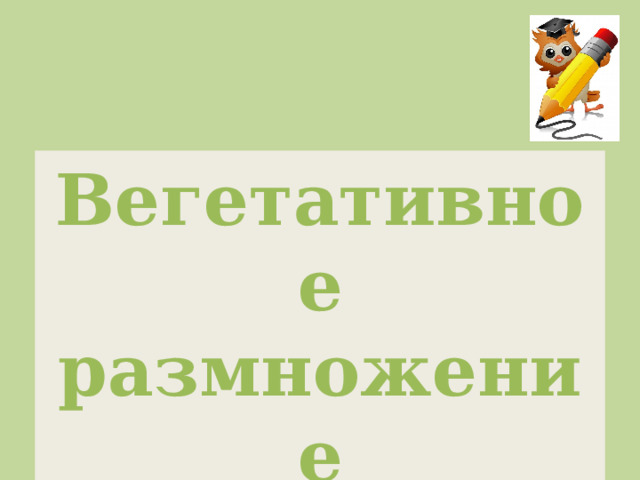 Вегетативное размножение 