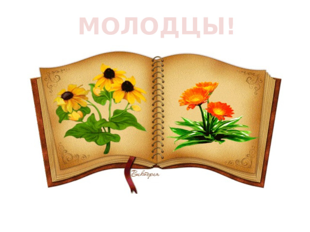 МОЛОДЦЫ! 
