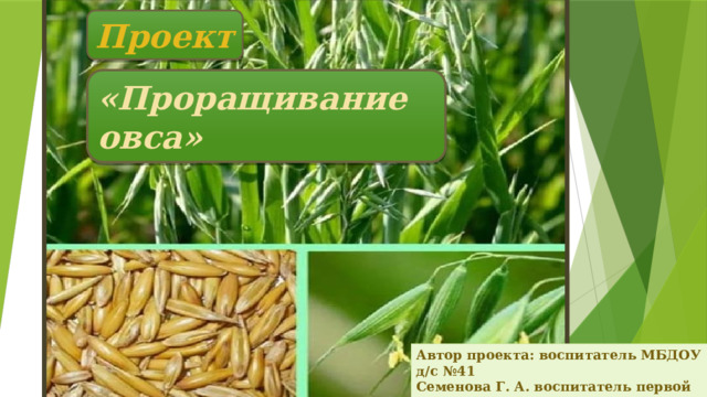Проект «Проращивание овса» Автор проекта: воспитатель МБДОУ д/с №41 Семенова Г. А. воспитатель первой категории 2018г. 