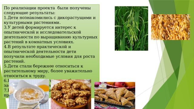 По реализации проекта  были получены следующие результаты: Дети познакомились с дикорастущими и культурными растениями. У детей формируется интерес к опытнической и исследовательской деятельности по выращиванию культурных растений в комнатных условиях. В результате практической и опытнической деятельности дети получили необходимые условия для роста растений. Дети стали бережнее относиться к растительному миру, более уважительно относиться к труду. Наблюдение за растениями были зафиксированы в дневнике наблюдений. Родители приняли активное участие в проекте . 