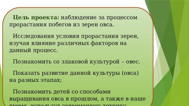 Цель проекта:  наблюдение за процессом прорастания побегов из зерен овса. Исследования условия прорастания зерен, изучая влияние различных факторов на данный процесс. Познакомить со злаковой культурой – овес. Показать развитие данной культуры (овса) на разных этапах; Познакомить детей со способами выращивания овса в прошлом, а также в наше время, используя современную технику. 