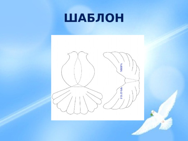 ШАБЛОН 