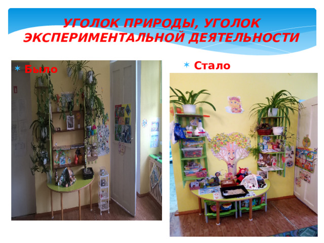 Уголок природы, уголок экспериментальной деятельности Стало Было 
