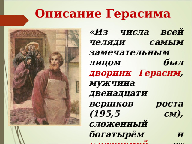  Описание Герасима «Из числа всей челяди самым замечательным лицом был дворник Герасим , мужчина двенадцати вершков роста (195,5 см), сложенный богатырём и глухонемой от рождения». 