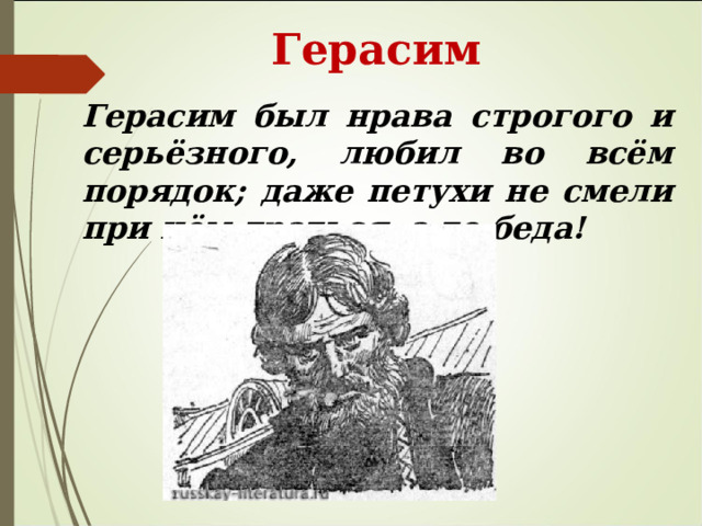  Герасим Герасим был нрава строгого и серьёзного, любил во всём порядок; даже петухи не смели при нём драться, а то беда! 
