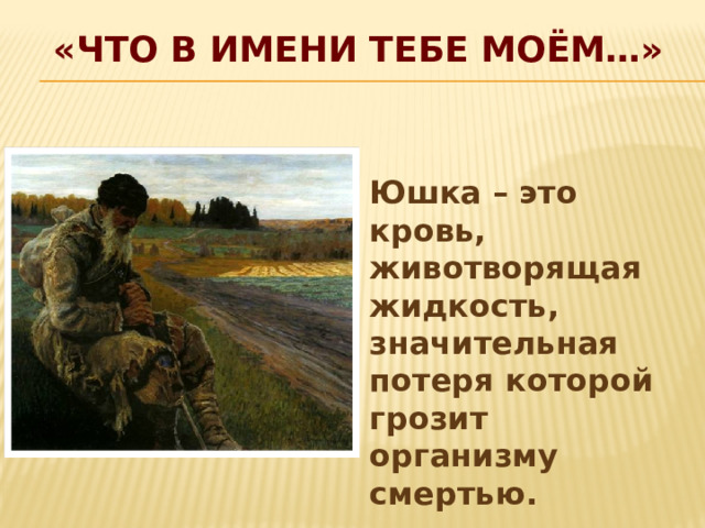 «Что в имени тебе моём…»   Юшка – это кровь, животворящая жидкость, значительная потеря которой грозит организму смертью.  