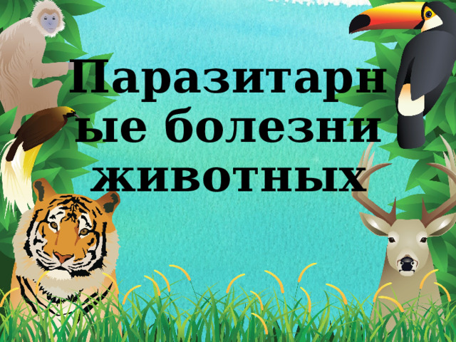 Паразитарные болезни животных 