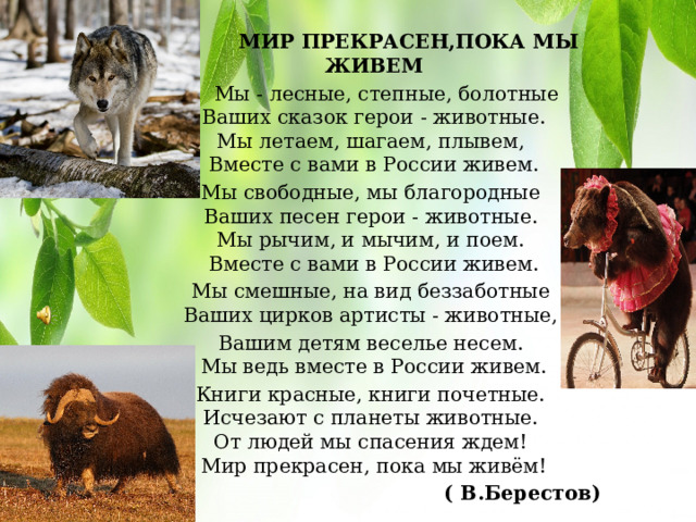  МИР ПРЕКРАСЕН,ПОКА МЫ ЖИВЕМ  Мы - лесные, степные, болотные   Ваших сказок герои - животные.   Мы летаем, шагаем, плывем,   Вместе с вами в России живем. Мы свободные, мы благородные   Ваших песен герои - животные.   Мы рычим, и мычим, и поем.   Вместе с вами в России живем. Мы смешные, на вид беззаботные   Ваших цирков артисты - животные,  Вашим детям веселье несем.   Мы ведь вместе в России живем. Книги красные, книги почетные.   Исчезают с планеты животные.   От людей мы спасения ждем!   Мир прекрасен, пока мы живём! ( В.Берестов) 