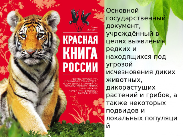 Основной государственный документ, учреждённый в целях выявления редких и находящихся под угрозой исчезновения диких животных, дикорастущих растений и грибов, а также некоторых подвидов и локальных популяций 