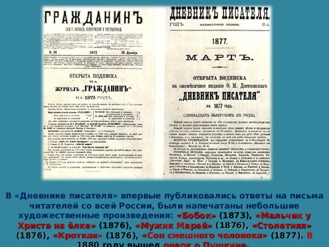 В «Дневнике писателя» впервые публиковались ответы на письма читателей со всей России, были напечатаны небольшие художественные произведения: «Бобок» (1873), «Мальчик у Христа на ёлке» (1876), «Мужик Марей» (1876), «Столетняя» (1876), «Кроткая» (1876), «Сон смешного человека»  (1877). В 1880  году вышел   очерк о Пушкине.  