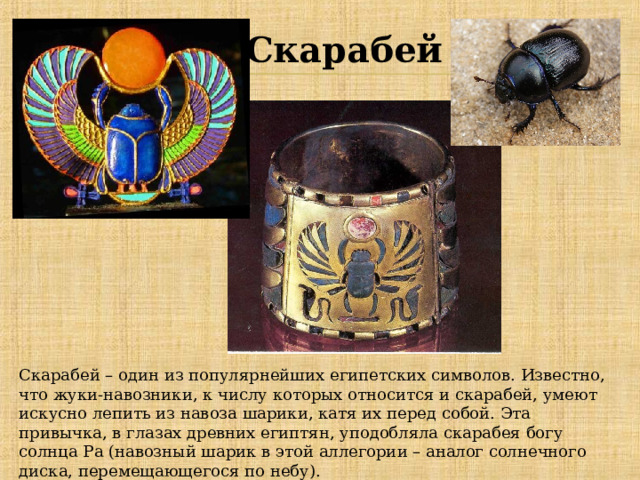 Скарабей  Скарабей – один из популярнейших египетских символов. Известно, что жуки-навозники, к числу которых относится и скарабей, умеют искусно лепить из навоза шарики, катя их перед собой. Эта привычка, в глазах древних египтян, уподобляла скарабея богу солнца Ра (навозный шарик в этой аллегории – аналог солнечного диска, перемещающегося по небу). 