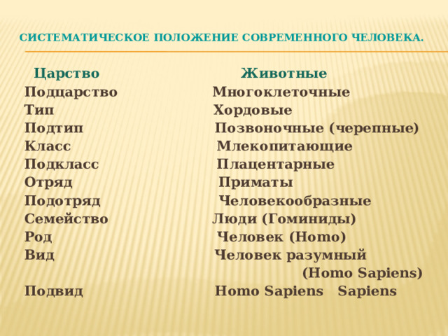 Систематическое положение современного человека.     Царство  Животные  Подцарство Многоклеточные  Тип Хордовые  Подтип Позвоночные (черепные)‏  Класс Млекопитающие  Подкласс Плацентарные  Отряд Приматы  Подотряд Человекообразные  Семейство Люди (Гоминиды)‏  Род Человек (Homo)‏  Вид Человек разумный  (Homo Sapiens)‏  Подвид Homo Sapiens Sapiens 