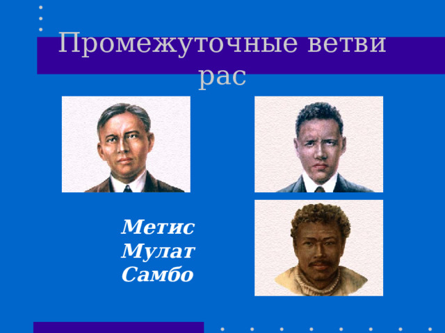 Промежуточные ветви рас Метис Мулат Самбо 