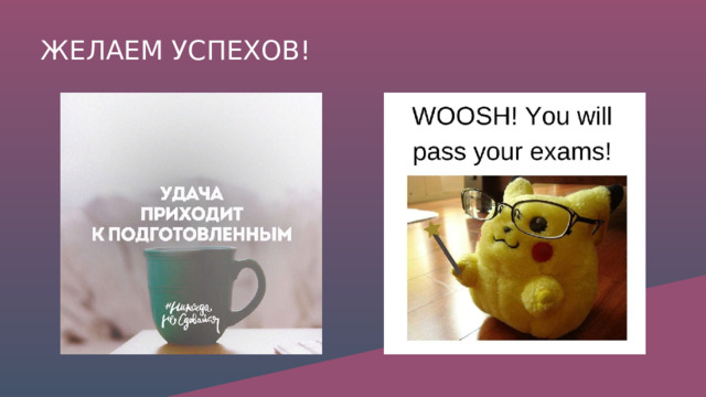 ЖЕЛАЕМ УСПЕХОВ! 