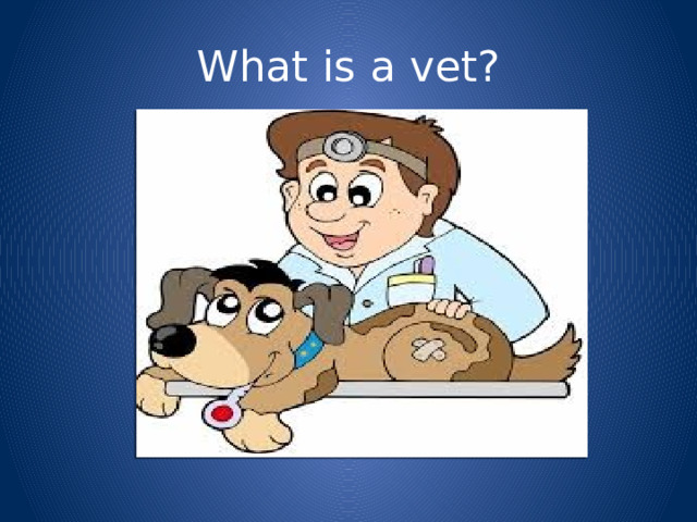 What is a vet? 