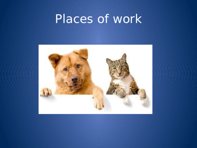 Places of work 