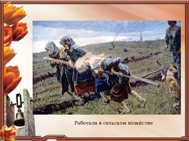   Работали в сельском хозяйстве 