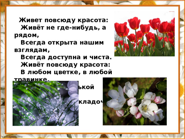  Живет повсюду красота:  Живёт не где-нибудь, а рядом,  Всегда открыта нашим взглядам,  Всегда доступна и чиста.  Живёт повсюду красота:  В любом цветке, в любой травинке,  И даже в маленькой росинке,  Что дремлет в складочке листа. 