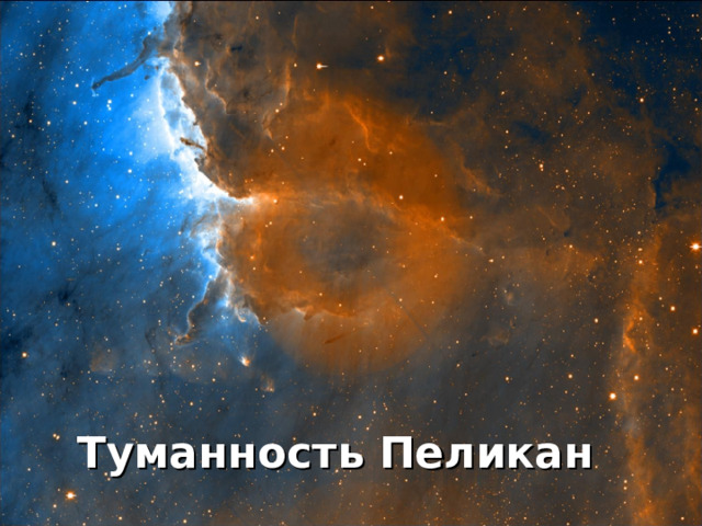 Туманность Пеликан 