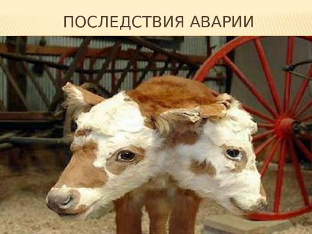 Последствия аварии 