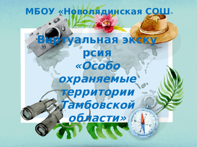 МБОУ «Новолядинская СОШ » Виртуальная экскурсия «Особо охраняемые территории Тамбовской области» 