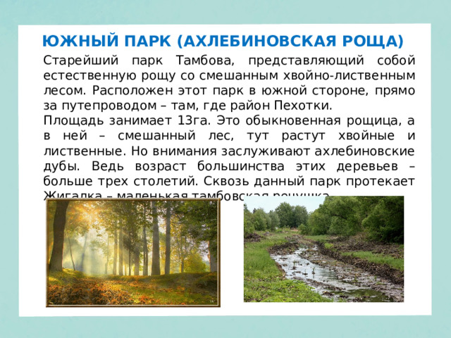 ЮЖНЫЙ ПАРК (АХЛЕБИНОВСКАЯ РОЩА)  Старейший парк Тамбова, представляющий собой естественную рощу со смешанным хвойно-лиственным лесом. Расположен этот парк в южной стороне, прямо за путепроводом – там, где район Пехотки. Площадь занимает 13га. Это обыкновенная рощица, а в ней – смешанный лес, тут растут хвойные и лиственные. Но внимания заслуживают ахлебиновские дубы. Ведь возраст большинства этих деревьев – больше трех столетий. Сквозь данный парк протекает Жигалка – маленькая тамбовская речушка.. 