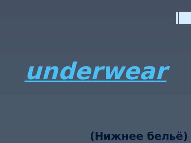 underwear (Нижнее бельё)  