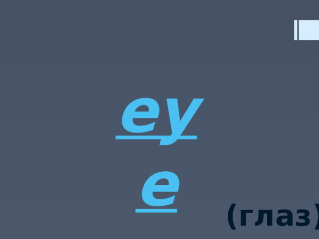 eye (глаз) 