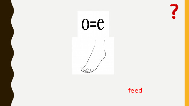 feed 