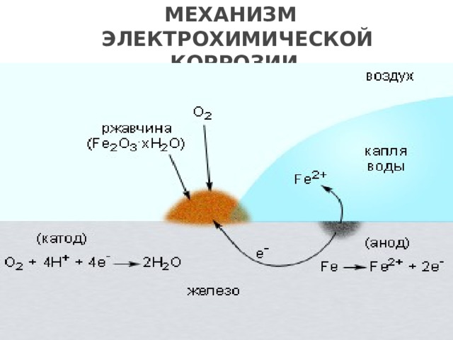 МЕХАНИЗМ  ЭЛЕКТРОХИМИЧЕСКОЙ КОРРОЗИИ 