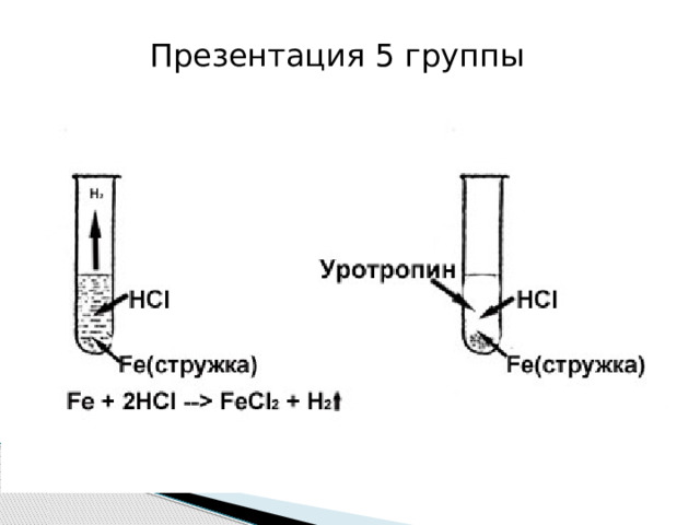 Презентация 5 группы 