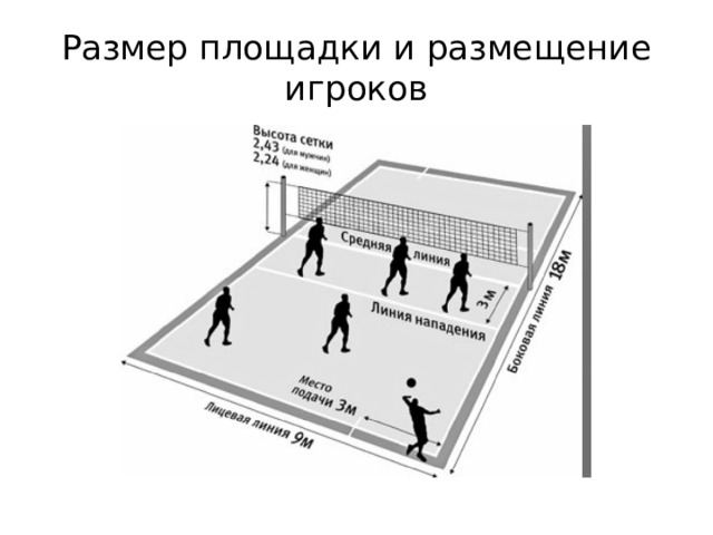 Размер площадки и размещение игроков 