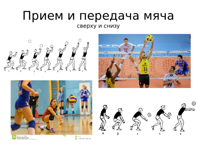 Прием и передача мяча  сверху и снизу 