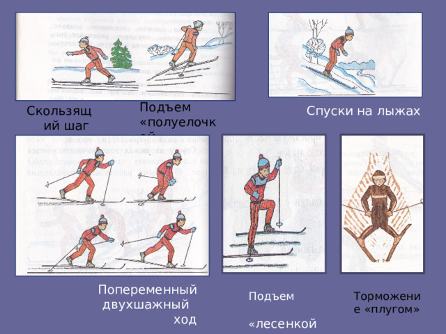 Подъем «полуелочкой » Спуски на лыжах Скользящий шаг Скользящий шаг Попеременный двухшажный ход Подъем  « лесенкой » Торможение «плугом» 