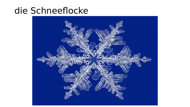 die Schneeflocke   