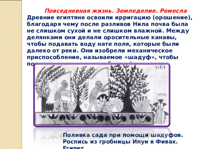  Повседневная жизнь. Земледелие. Ремесла Древние египтяне освоили ирригацию (орошение), благодаря чему после разливов Нила почва была не слишком сухой и не слишком влажной. Между делянками они делали оросительные канавы, чтобы подавать воду нате поля, которые были далеко от реки. Они изобрели механическое приспособление, называемое «шадуф», чтобы подавать воду из реки к ближайшим полям. Поливка сада при помощи шадуфов. Роспись из гробницы Ипуи в Фивах. Египет.   