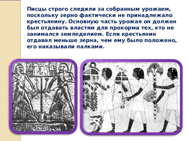 Писцы строго следили за собранным урожаем, поскольку зерно фактически не принадлежало крестьянину. Основную часть урожая он должен был отдавать властям для прокорма тех, кто не занимался земледелием. Если крестьянин отдавал меньше зерна, чем ему было положено, его наказывали палками. 