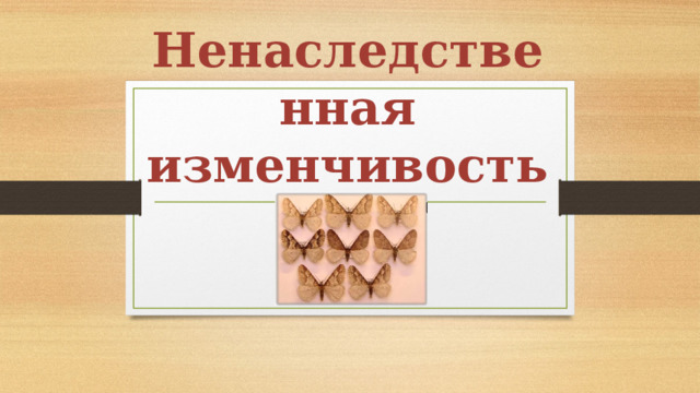 Ненаследственная изменчивость 