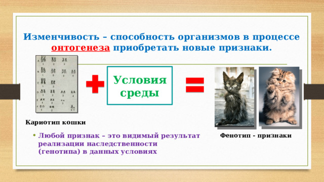 Изменчивость – способность организмов в процессе онтогенеза приобретать новые признаки.   Условия среды Кариотип кошки Любой признак – это видимый результат реализации наследственности (генотипа) в данных условиях Фенотип - признаки 