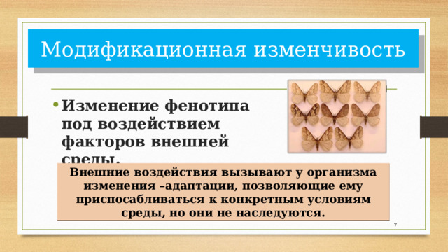 Модификационная изменчивость Изменение фенотипа под воздействием факторов внешней среды. Внешние воздействия вызывают у организма изменения –адаптации, позволяющие ему приспосабливаться к конкретным условиям среды, но они не наследуются.  