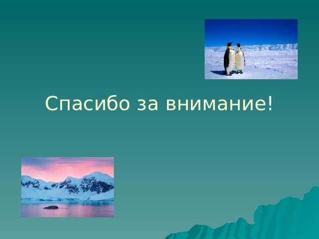    Спасибо за внимание! 