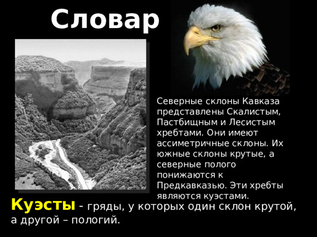 Словарь  Северные склоны Кавказа представлены Скалистым, Пастбищным и Лесистым хребтами. Они имеют ассиметричные склоны. Их южные склоны крутые, а северные полого понижаются к Предкавказью. Эти хребты являются куэстами. Куэсты  - гряды, у которых один склон крутой, а другой – пологий. 