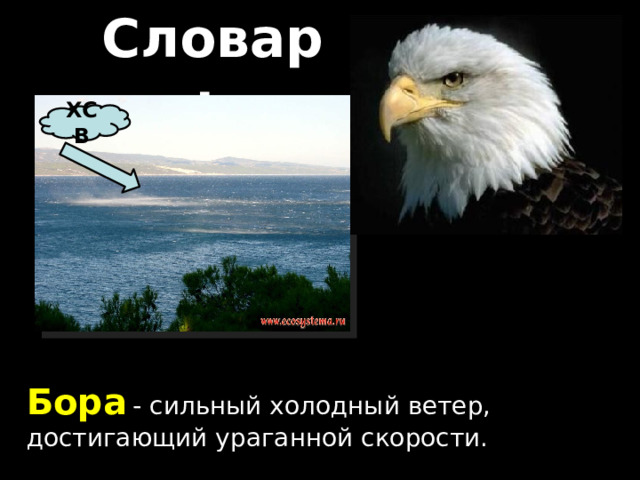 Словарь ХСВ Бора  - сильный холодный ветер, достигающий ураганной скорости. 