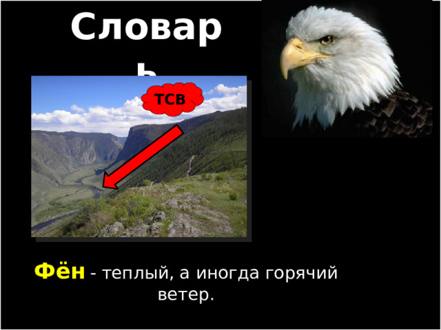 Словарь ТСВ Фён  - теплый, а иногда горячий ветер. 