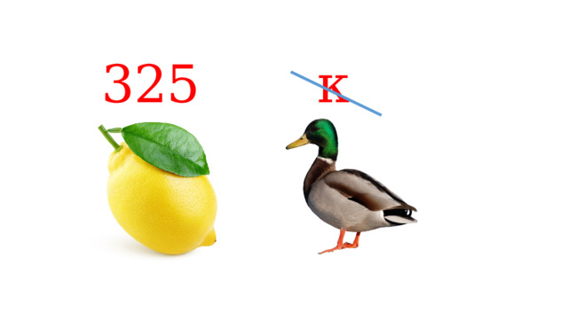 325 к 