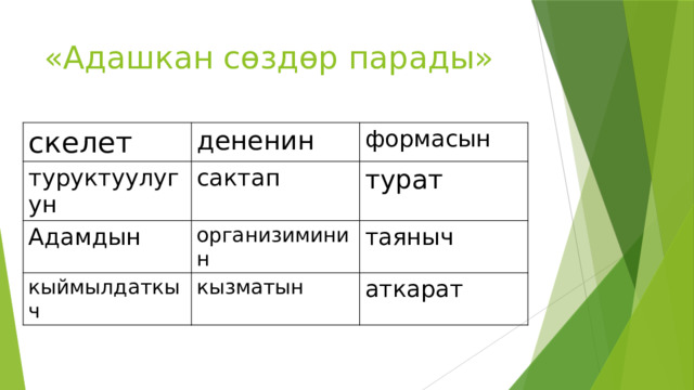 «Адашкан сөздөр парады» скелет дененин туруктуулугун формасын сактап Адамдын организиминин турат кыймылдаткыч таяныч кызматын аткарат 