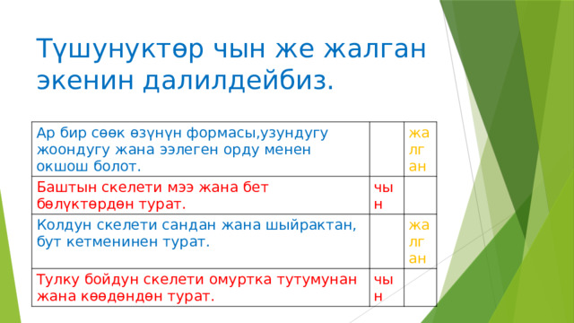 Түшунуктөр чын же жалган экенин далилдейбиз. Ар бир сөөк өзүнүн формасы,узундугу жоондугу жана ээлеген орду менен окшош болот. Баштын скелети мээ жана бет бөлүктөрдөн турат. жалган чын Колдун скелети сандан жана шыйрактан, бут кетменинен турат. Тулку бойдун скелети омуртка тутумунан жана көөдөндөн турат. жалган чын 