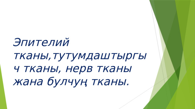 Эпителий тканы,тутумдаштыргыч тканы, нерв тканы жана булчуң тканы. 